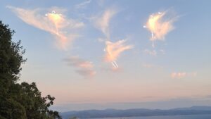 Dernières nouvelles du chaos